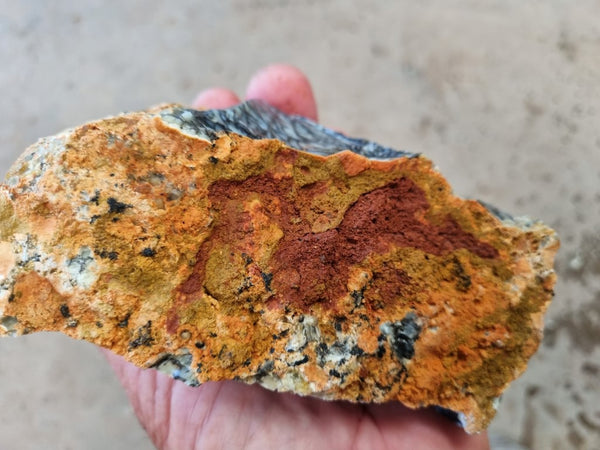 Dendritic Opal  rough.  DOR 206