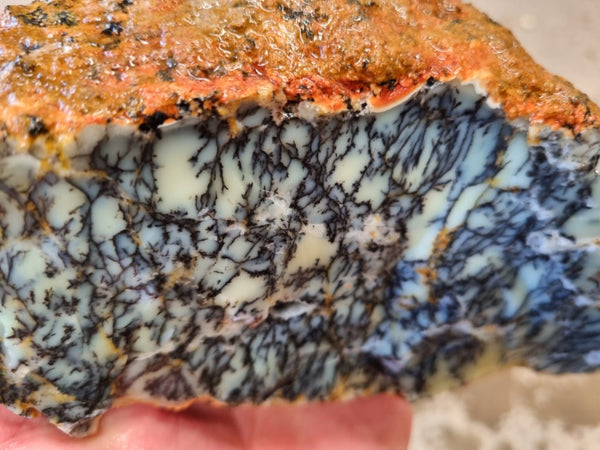 Dendritic Opal  rough.  DOR 206