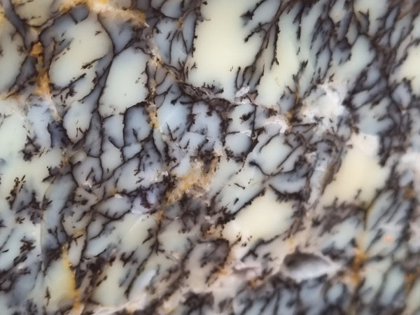 Dendritic Opal  rough.  DOR 206