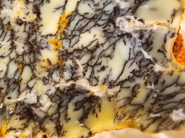 Dendritic Opal  rough.  DOR 206