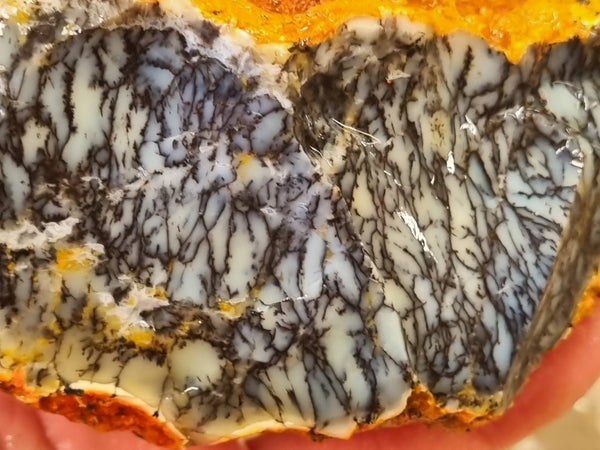 Dendritic Opal  rough.  DOR 206
