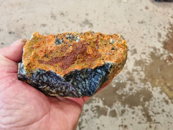 Dendritic Opal  rough.  DOR 206