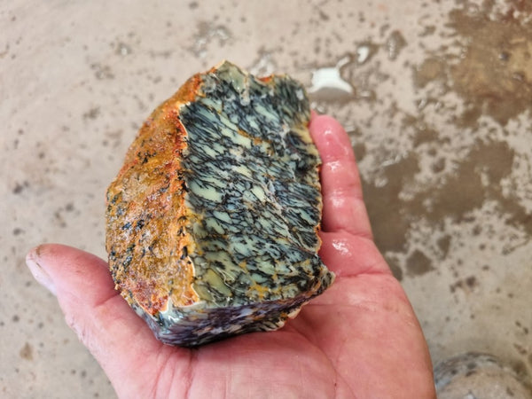 Dendritic Opal  rough.  DOR 206