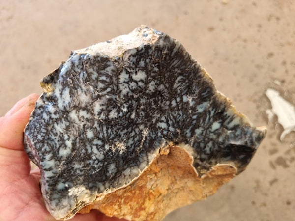 Dendritic Opal  rough.  DOR 207