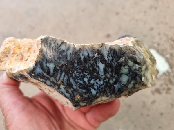 Dendritic Opal  rough.  DOR 207