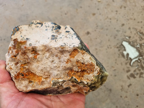 Dendritic Opal  rough.  DOR 207