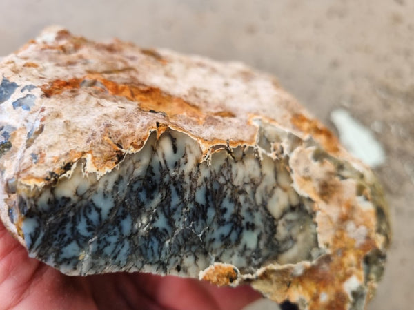 Dendritic Opal  rough.  DOR 207