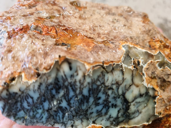 Dendritic Opal  rough.  DOR 207