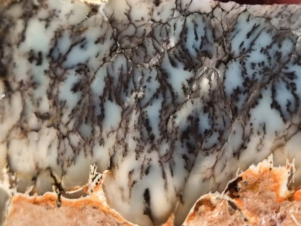 Dendritic Opal  rough.  DOR 207