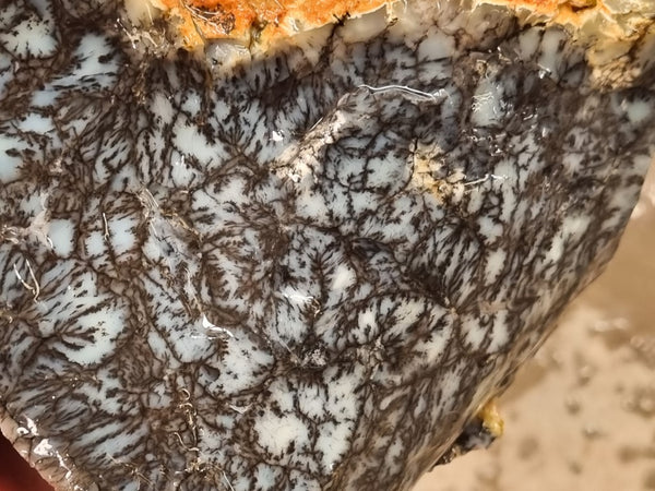 Dendritic Opal  rough.  DOR 207