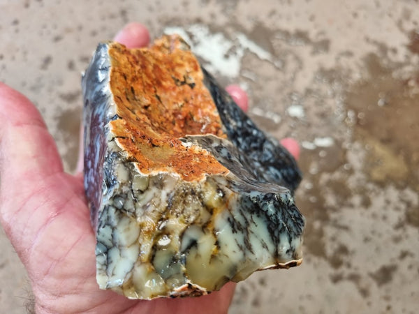 Dendritic Opal  rough.  DOR 207