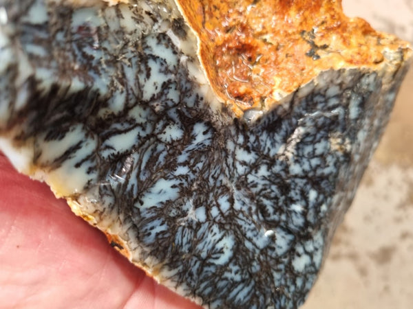 Dendritic Opal  rough.  DOR 207
