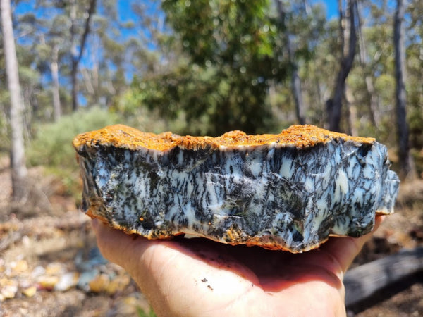 Dendritic Opal  rough.  DOR 202