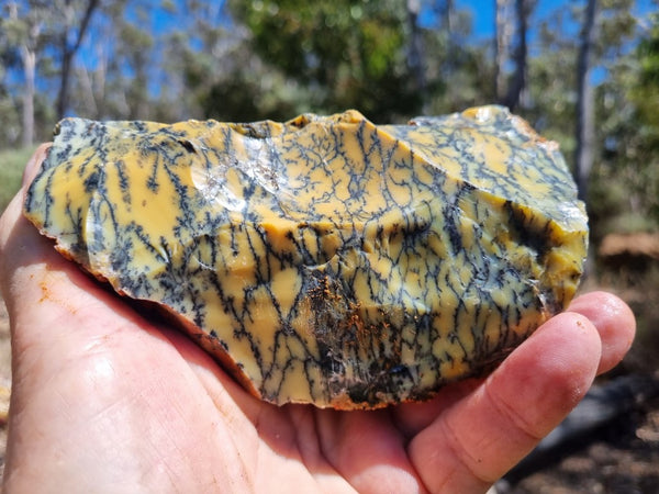 Dendritic Opal  rough.  DOR 203