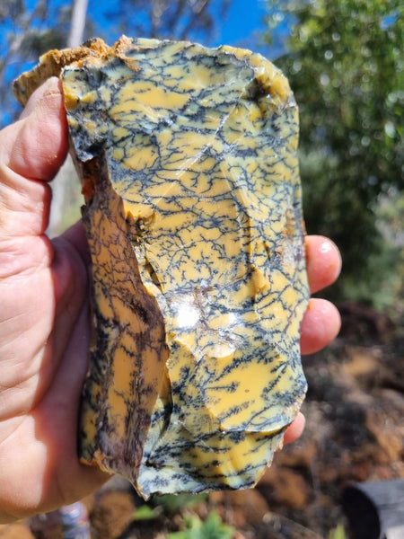 Dendritic Opal  rough.  DOR 203