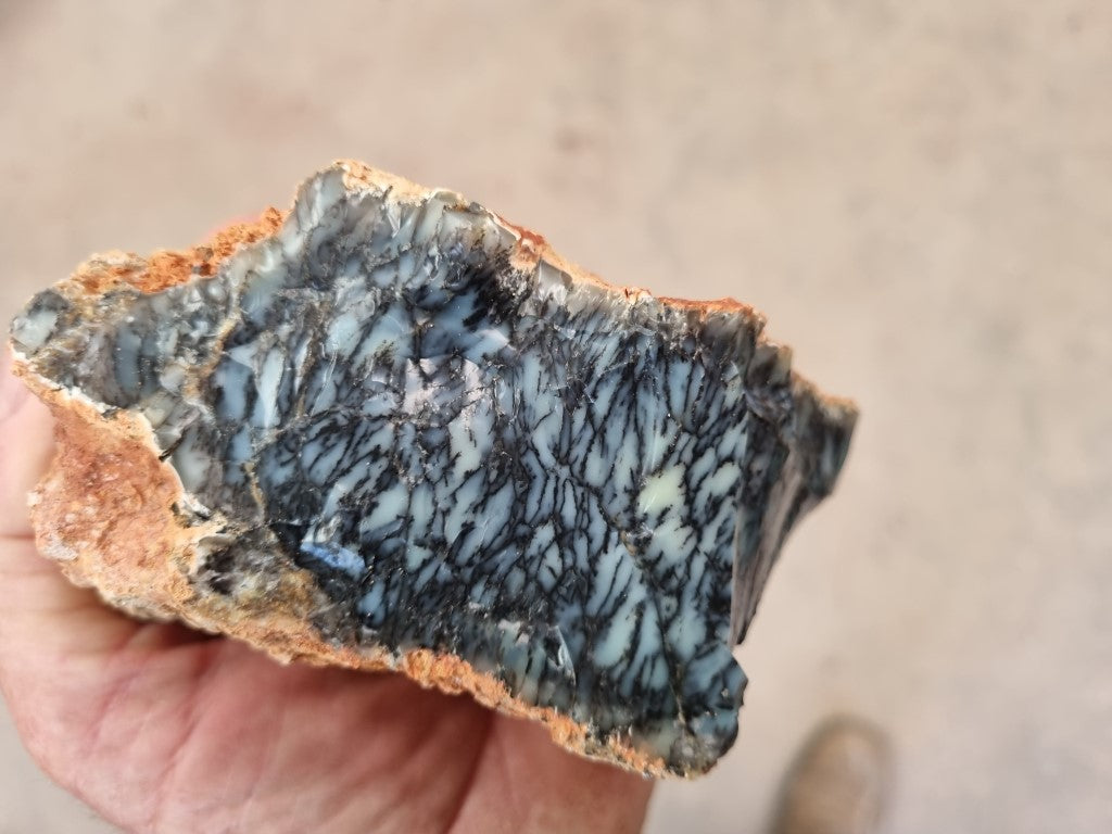 Dendritic Opal  rough.  DOR209