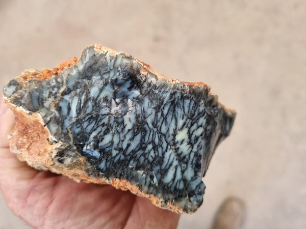 Dendritic Opal  rough.  DOR209