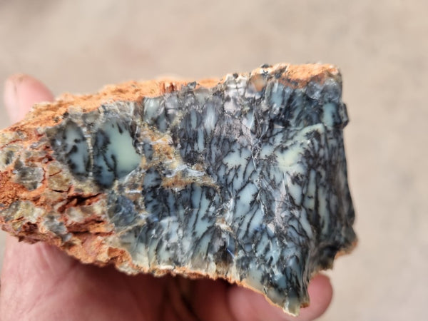 Dendritic Opal  rough.  DOR209