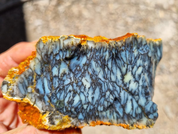 Dendritic Opal  rough.  DOR209