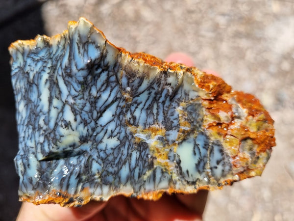 Dendritic Opal  rough.  DOR209