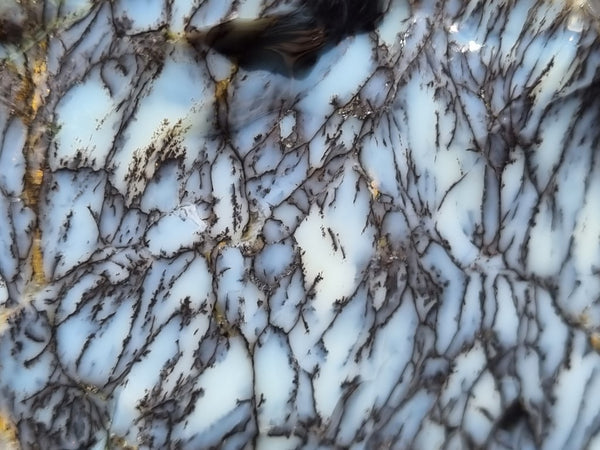 Dendritic Opal  rough.  DOR209