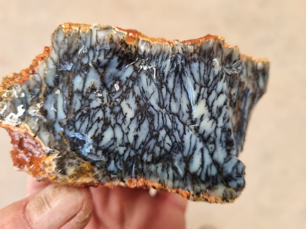 Dendritic Opal  rough.  DOR209
