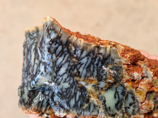 Dendritic Opal  rough.  DOR209