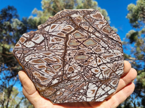 Polished Outback Jasper slab OJ163