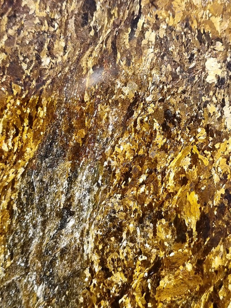 Polished Golden Amphibolite GA147