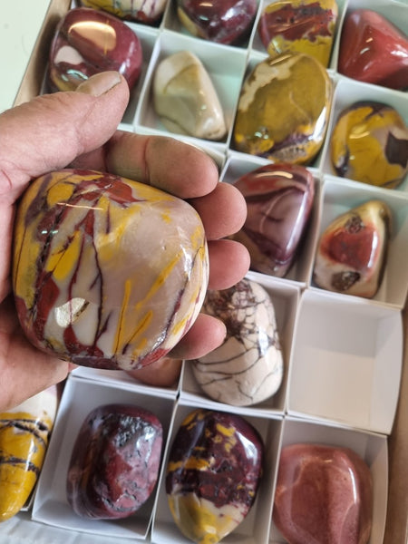 Box of 20 Large tumble polished Mookaite MKT161