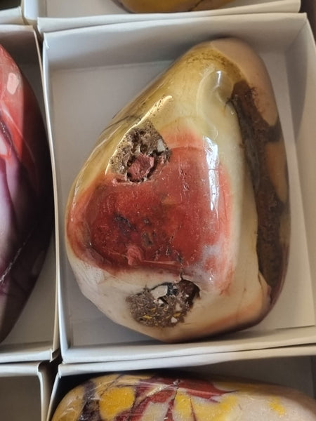 Box of 20 Large tumble polished Mookaite MKT161