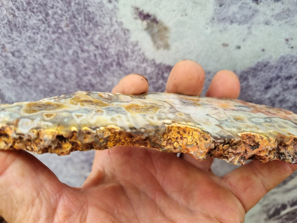 Polished Kumarina Agate slab KA143