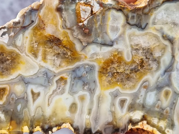 Polished Kumarina Agate slab KA143