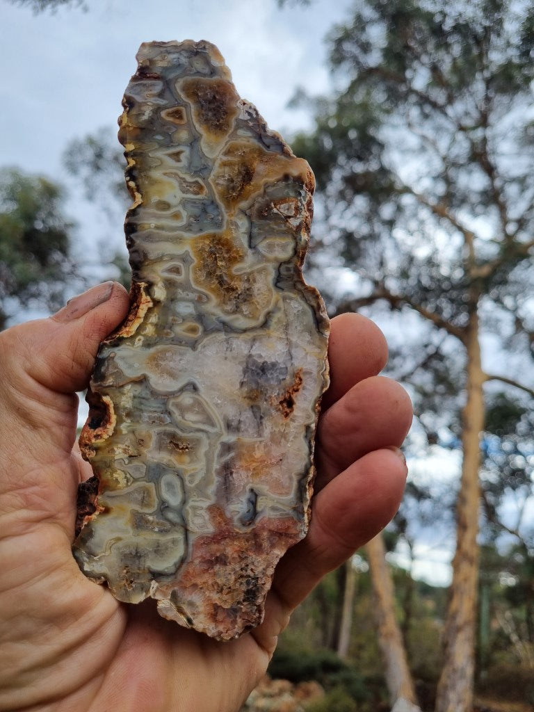 Polished Kumarina Agate slab KA143