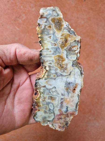 Polished Kumarina Agate slab KA143