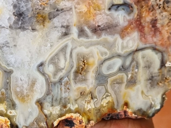 Polished Kumarina Agate slab KA143