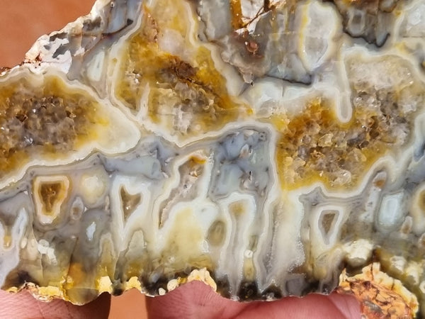 Polished Kumarina Agate slab KA143