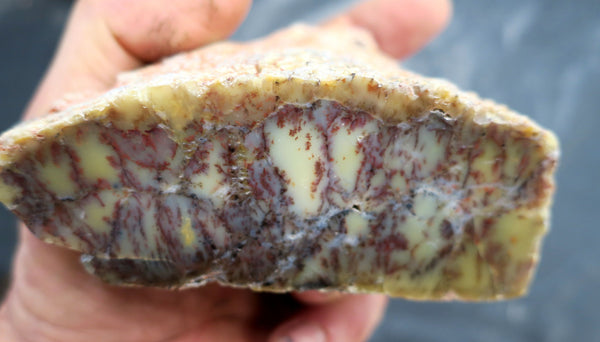 Polished  Dendritic Opal DO114