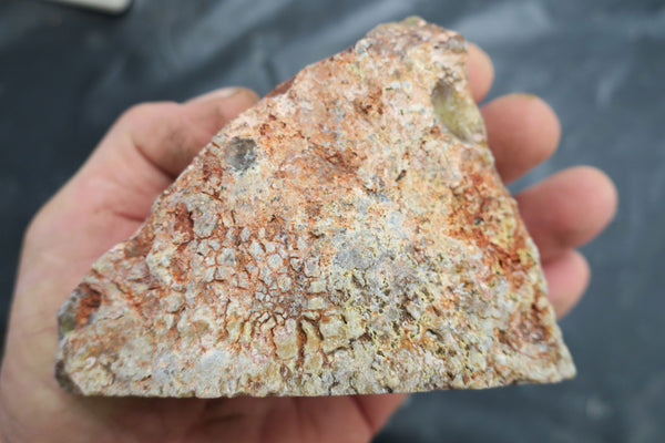 Polished  Dendritic Opal DO114