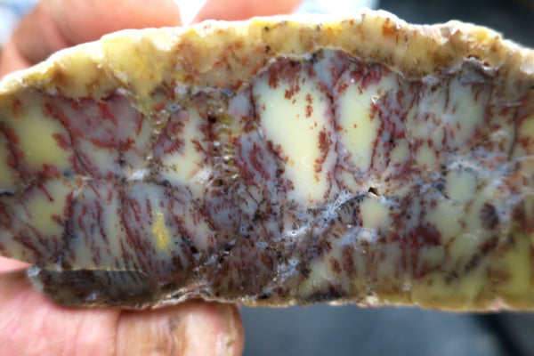 Polished  Dendritic Opal DO114