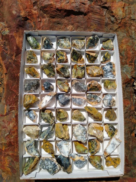 Box of Dendritic Opal rough.  DOR 187