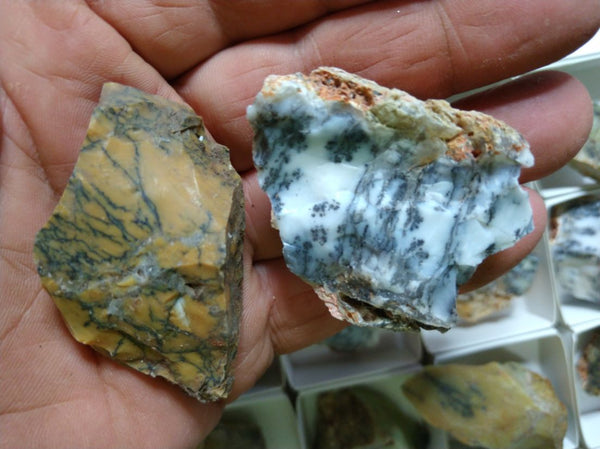 Box of Dendritic Opal rough.  DOR 187