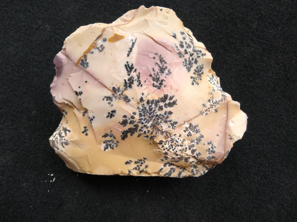 Dendritic Mookaite rough.  MKR 176