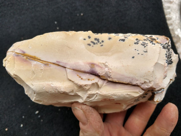 Dendritic Mookaite rough.  MKR 176