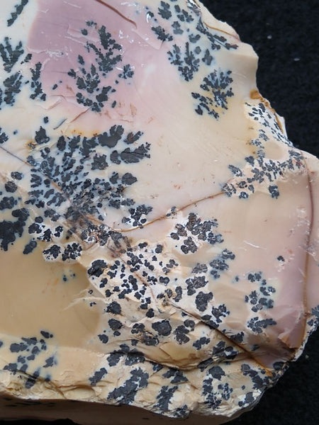 Dendritic Mookaite rough.  MKR 176