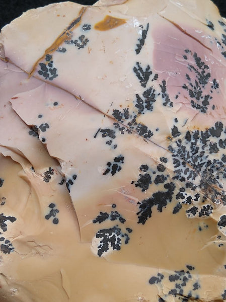 Dendritic Mookaite rough.  MKR 176