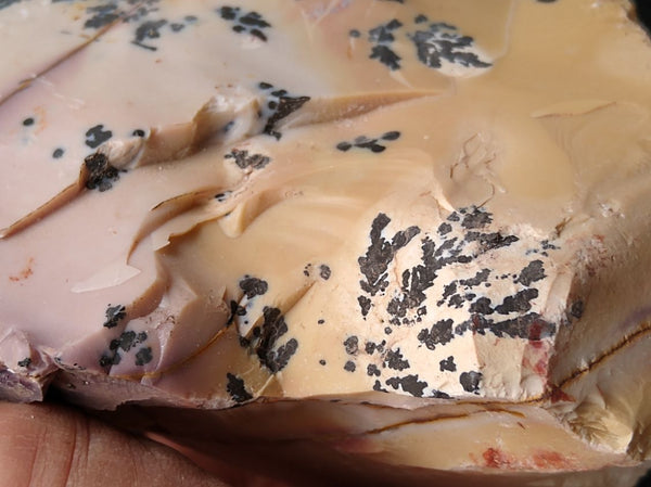 Dendritic Mookaite rough.  MKR 176