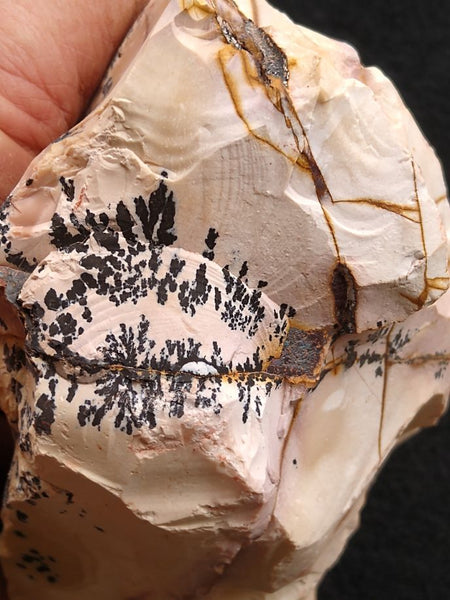 Dendritic Mookaite rough.  MKR 176