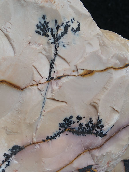 Dendritic Mookaite rough.  MKR 176