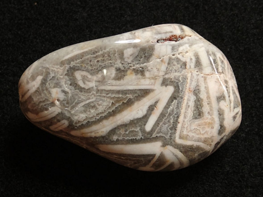 Tumble Polished Wyloo Agate WAT101